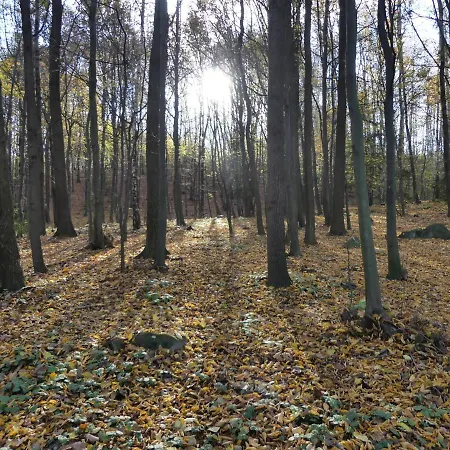 Σπίτι διακοπών Jezynowy - Sulistrowice