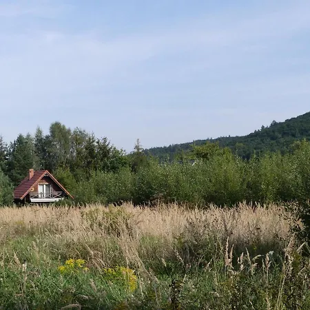 Σπίτι διακοπών Jezynowy -