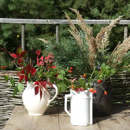 Σπίτι διακοπών Jezynowy - *