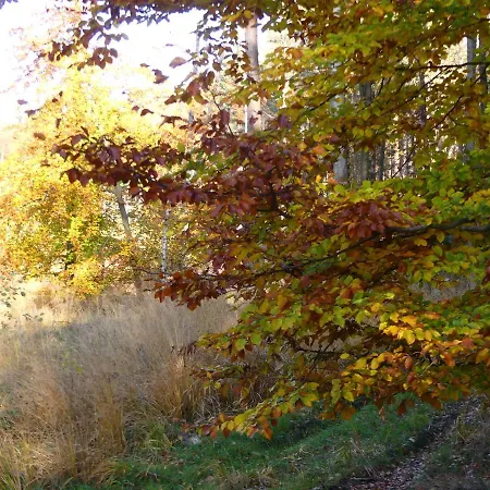 Jezynowy - Holiday home *