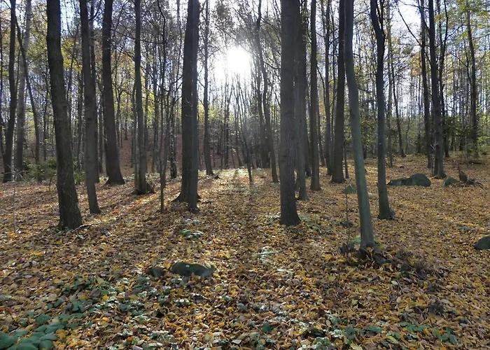 Holiday home Jezynowy - Sulistrowice