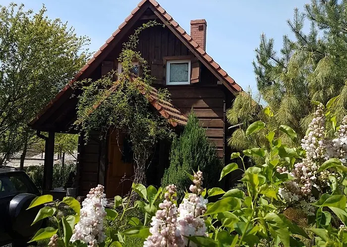 Jezynowy - Sulistrowice