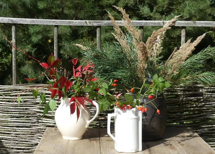 Holiday home Jezynowy - *