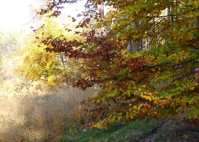 Jezynowy - Сasa de vacaciones *